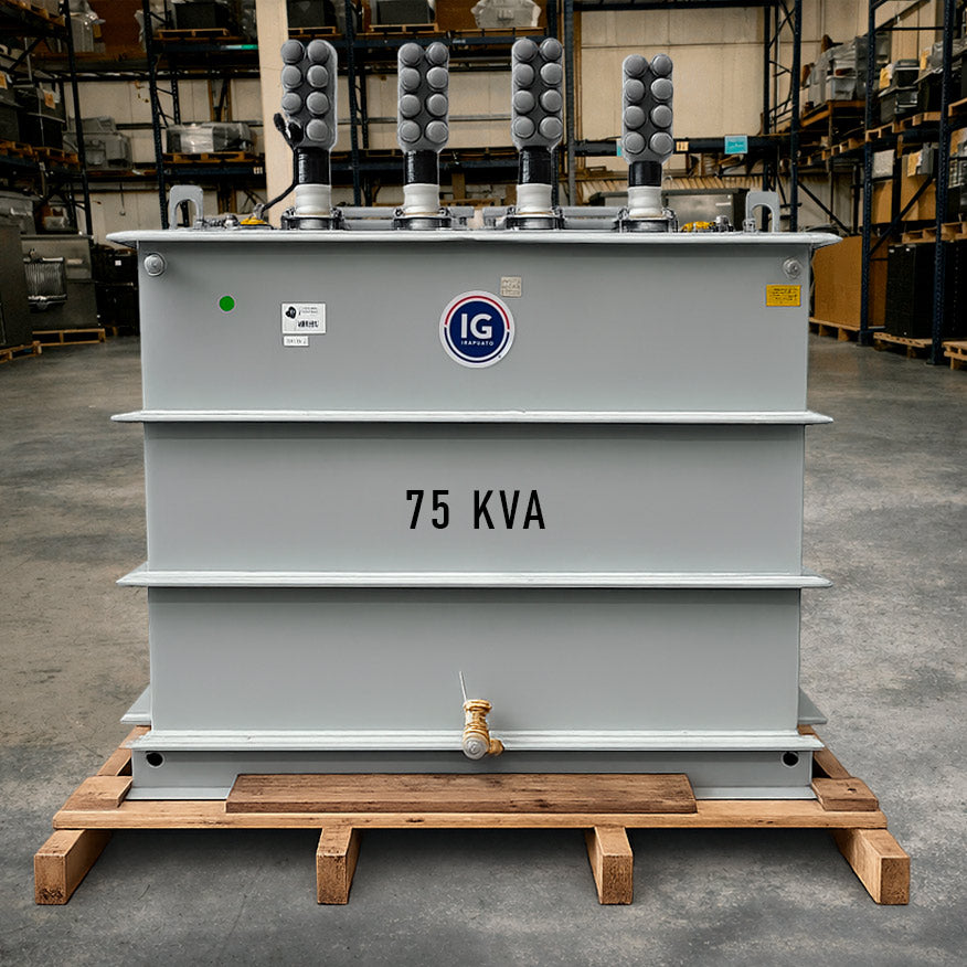 Transformador Sumergible Trifásico IG 75 KVA 13200YT/7620V